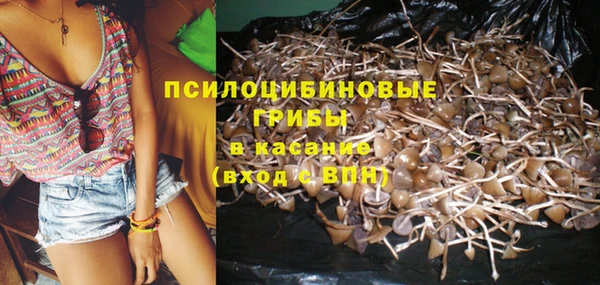 прущая мука Анива