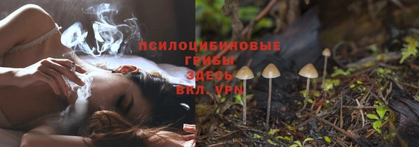 мескалин Новозыбков