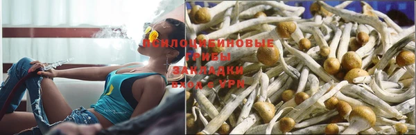 прущая мука Анива