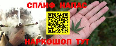 гашик Бугуруслан