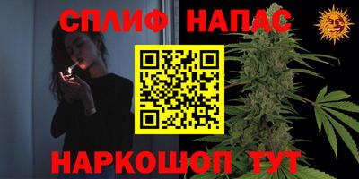 тгк Балахна