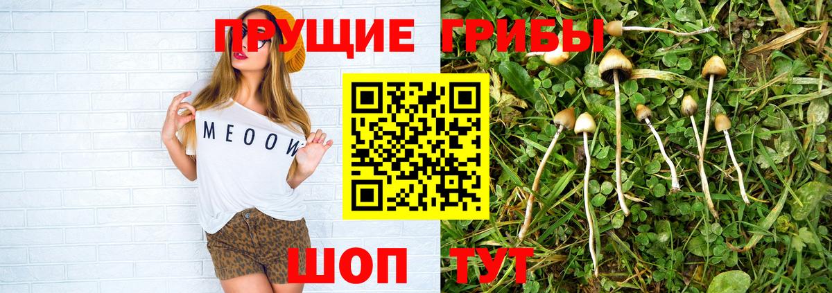 Галлюциногенные грибы прущие грибы  Елец 