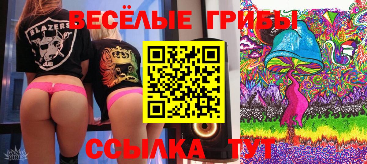 Галлюциногенные грибы GOLDEN TEACHER  Вход с VPN  Елец  Галлюциногенные грибы Psilocybine cubensis 